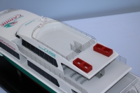 customized model of 29米双体渡轮
